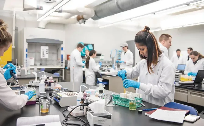 Laboratory staff working at benches with scientific equipment